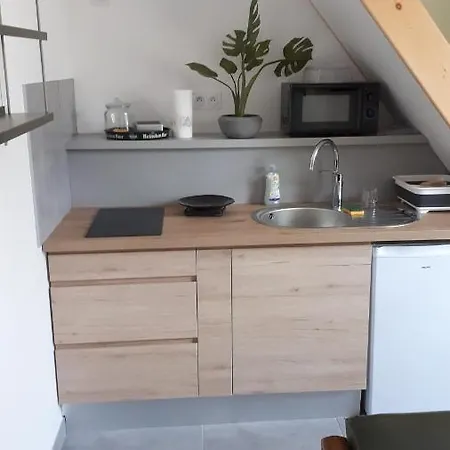 Le Chartreuse / Rent4night * Grenoble