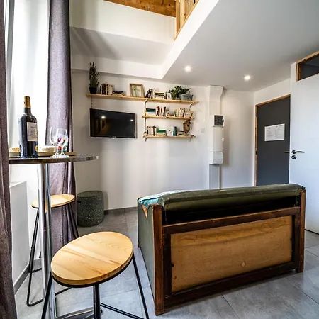 Le Chartreuse / Rent4night Lägenhet Grenoble