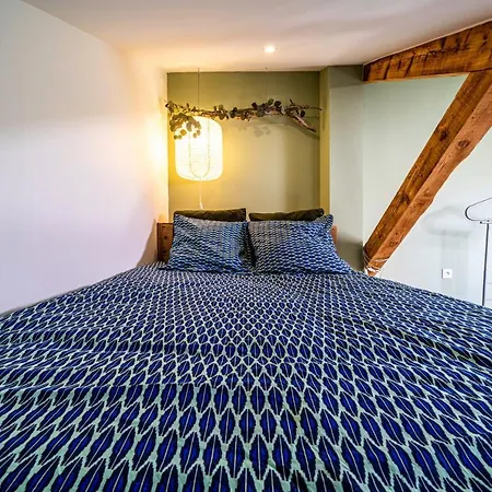 Le Chartreuse / Rent4night גרנובל