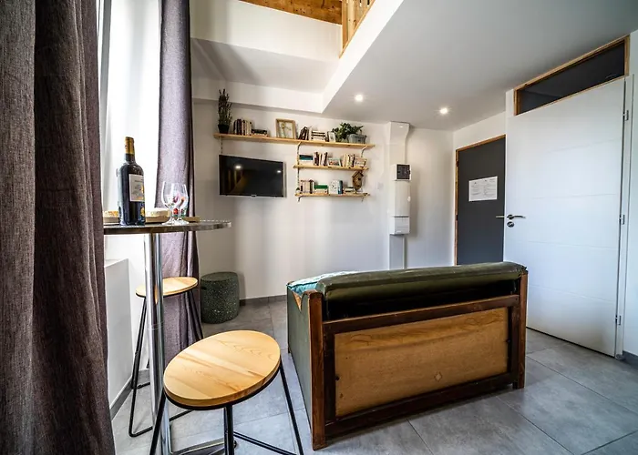 Le Chartreuse / Rent4night Appartement Grenoble